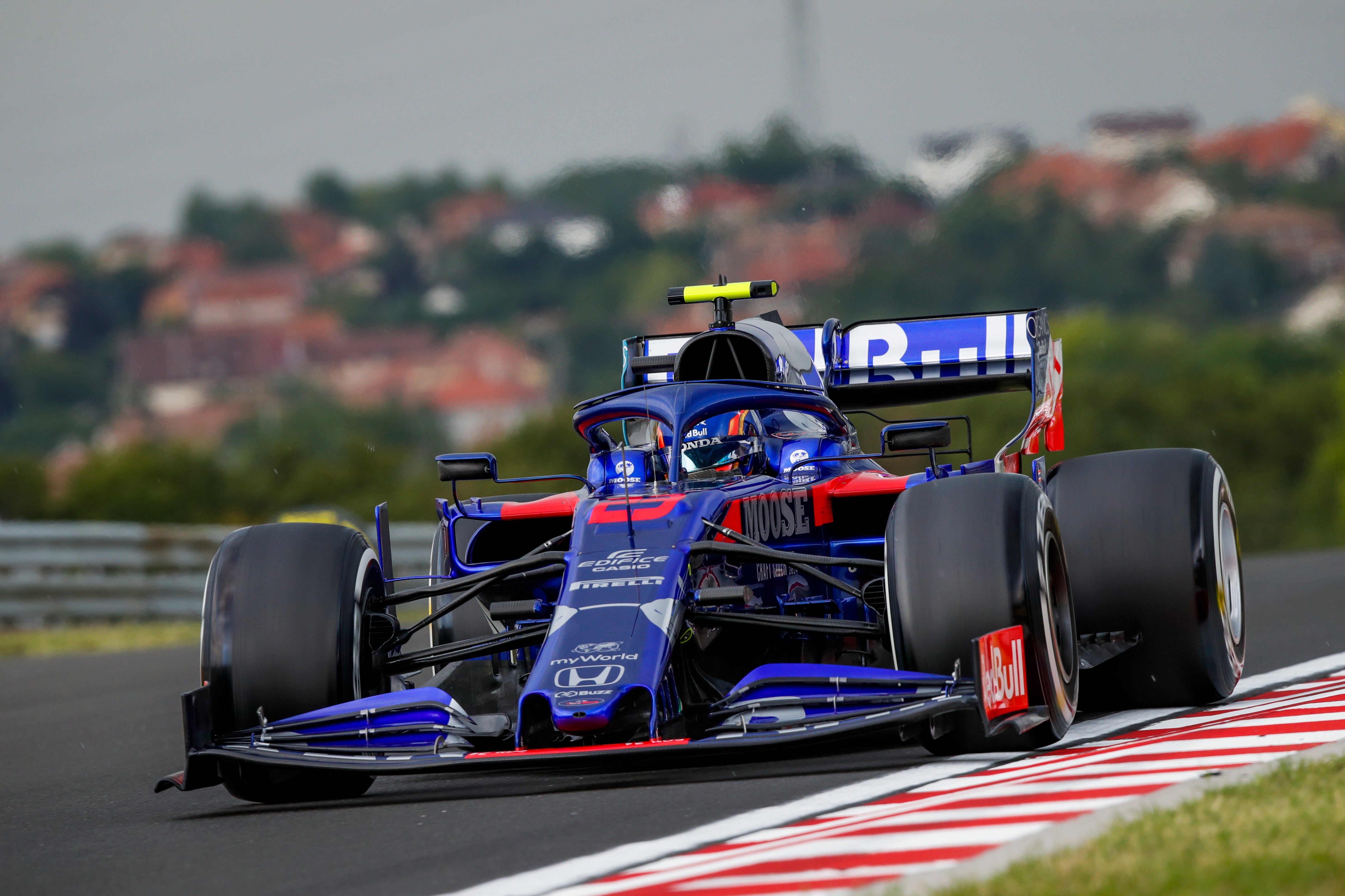 2019 Alex Albon Race Used Rookie Season Scuderia Toro Rosso F1 Boots