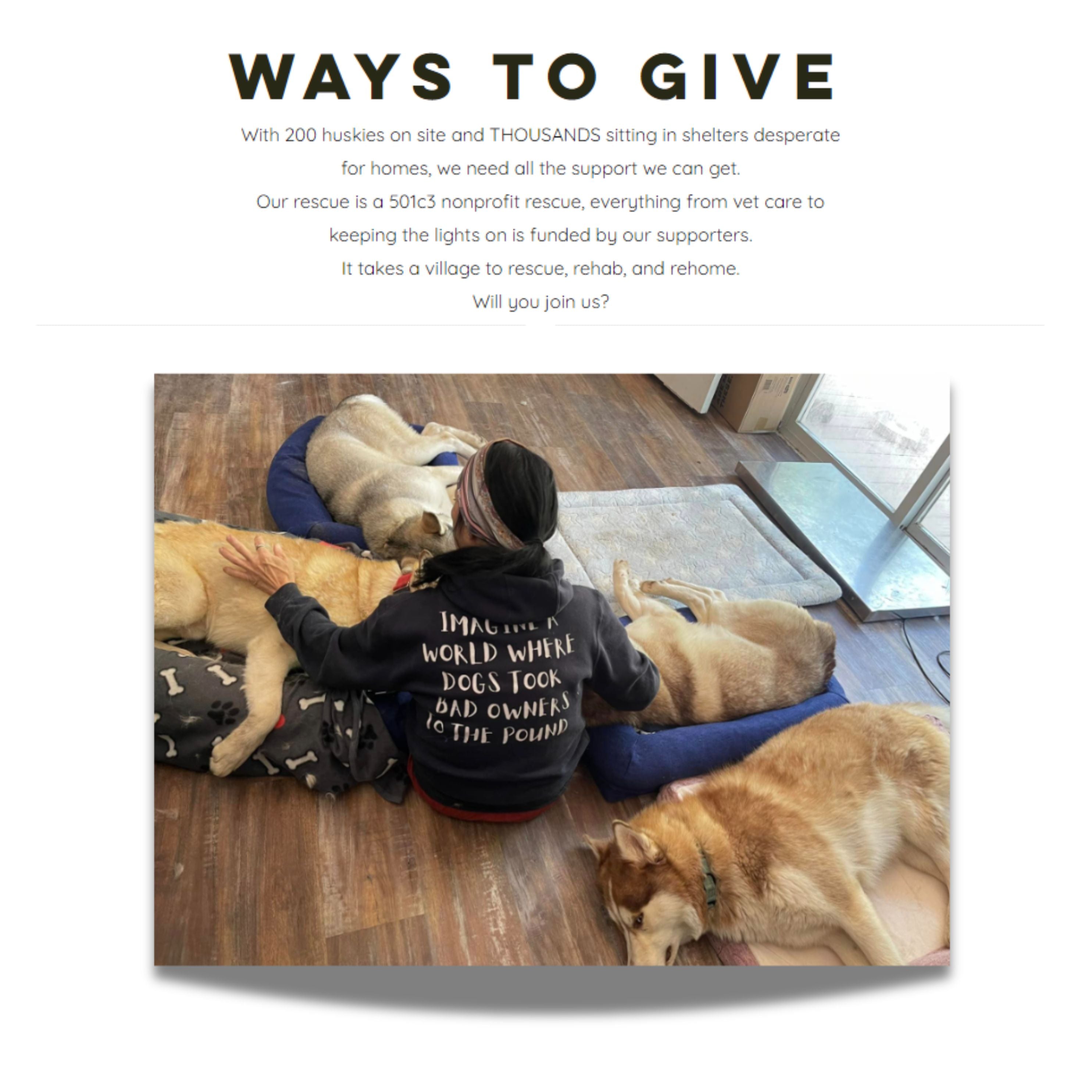 2023 Lando Norris Signed McLaren Original Worn F1 Suit - Charity Auction