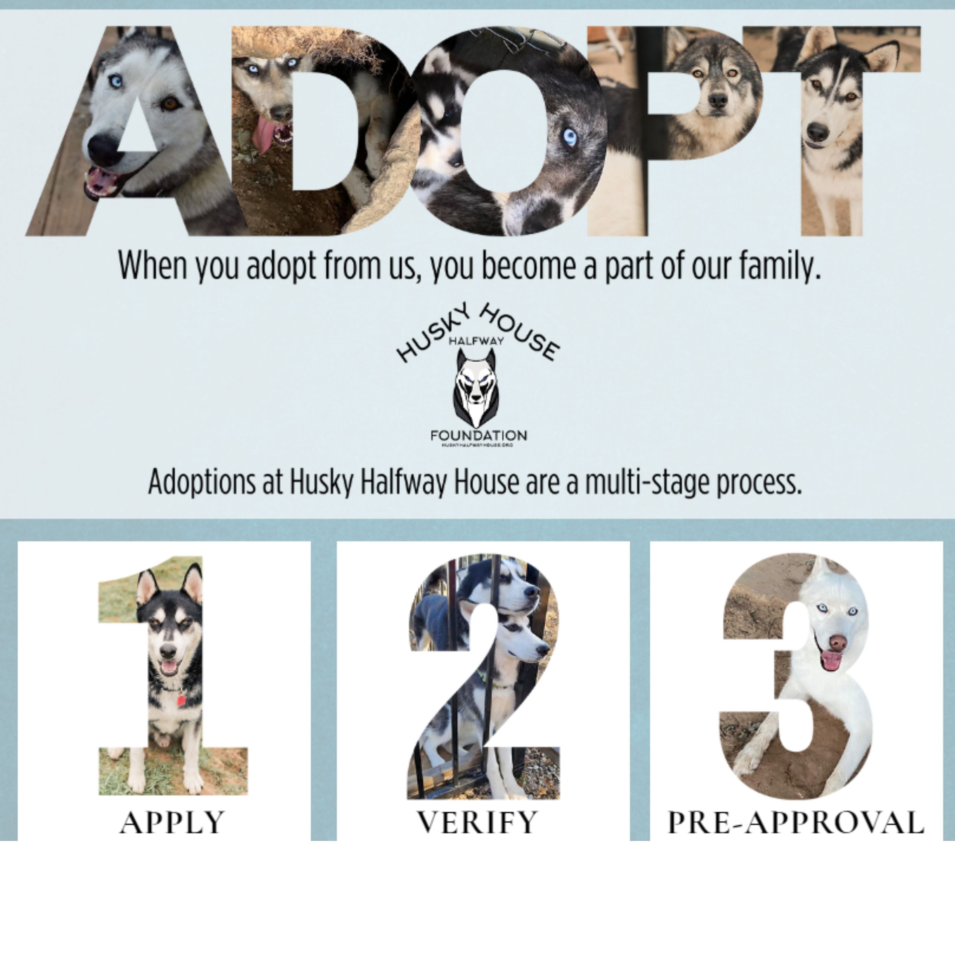 2023 Lando Norris Signed McLaren Original Worn F1 Suit - Charity Auction