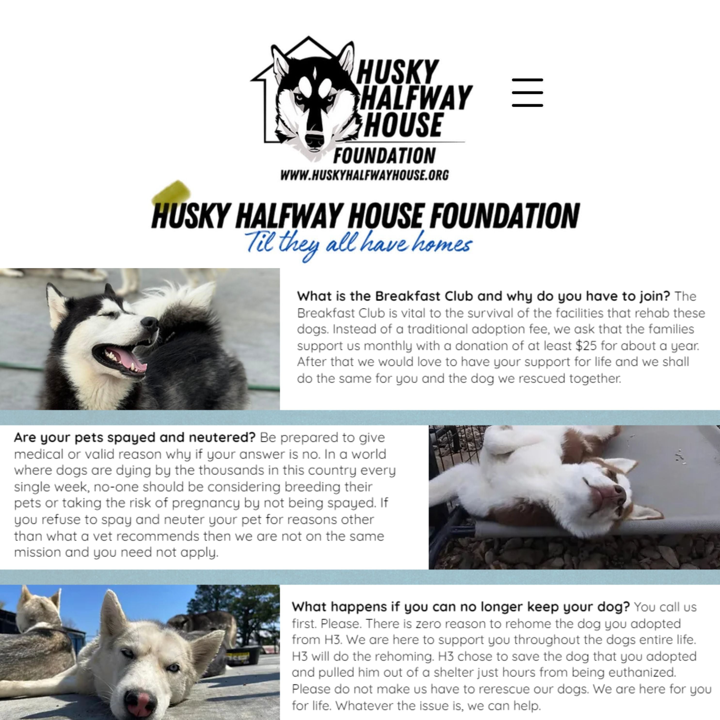 2023 Lando Norris Signed McLaren Original Worn F1 Suit - Charity Auction