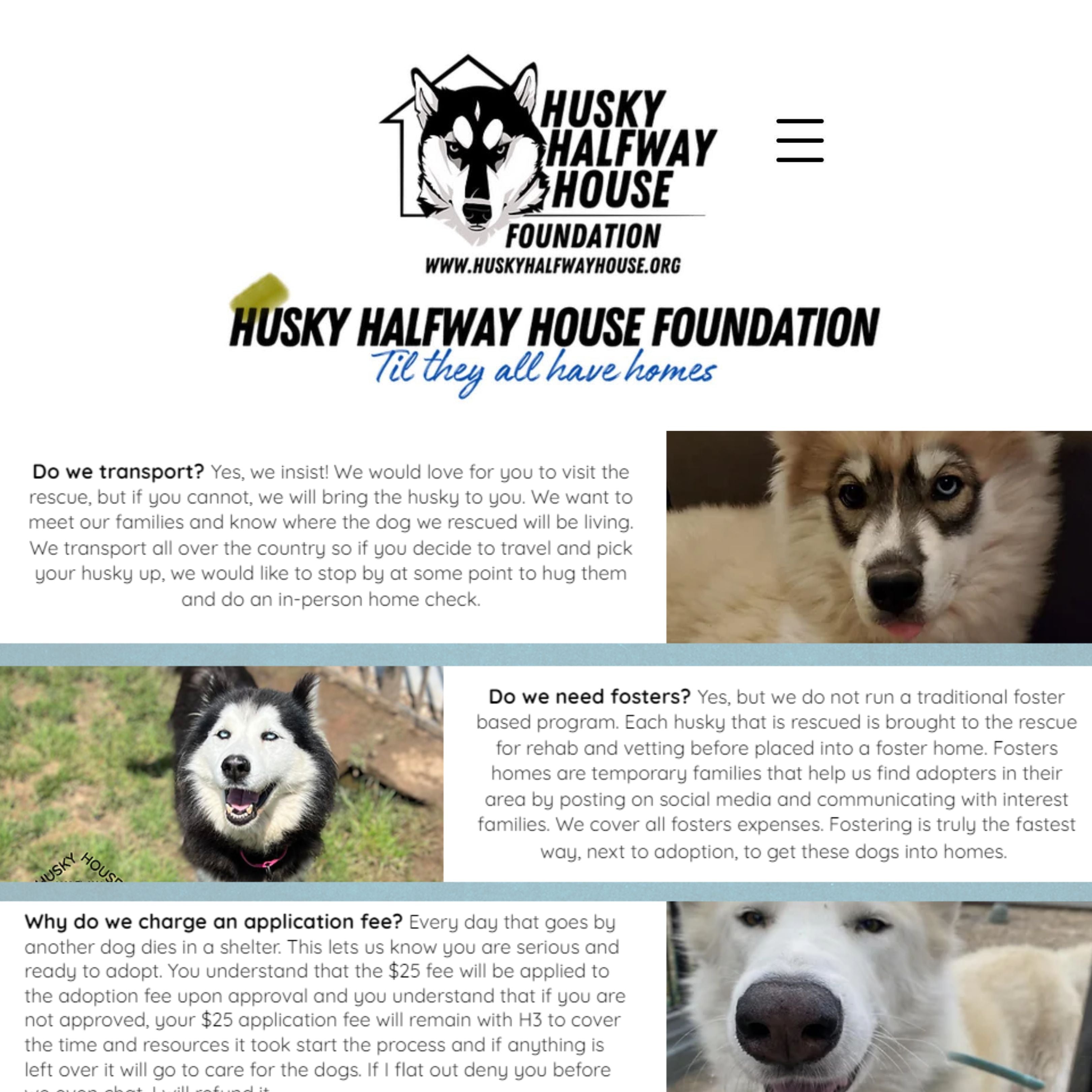 2023 Lando Norris Signed McLaren Original Worn F1 Suit - Charity Auction