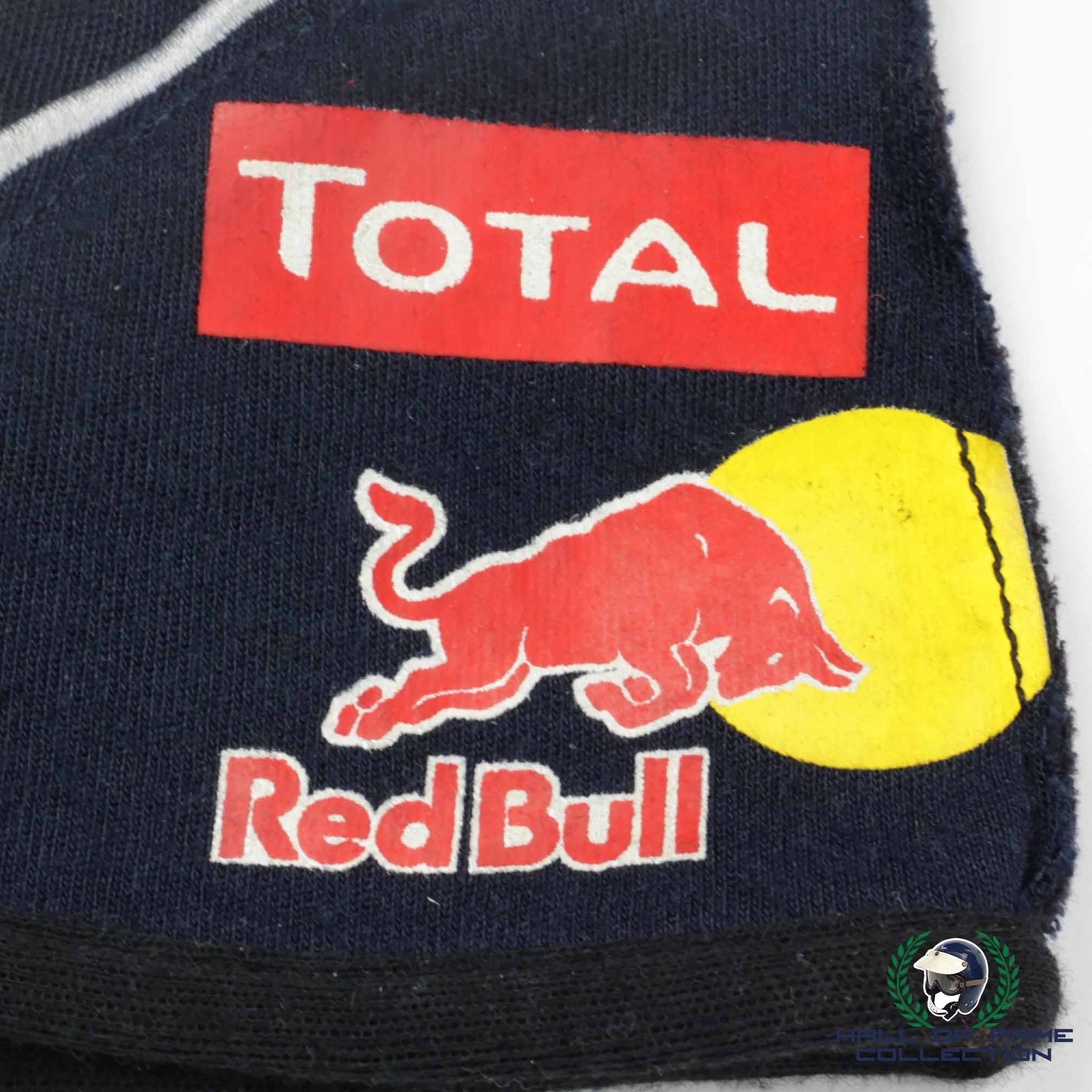 2015 Daniel Ricciardo Race Used Red Bull Racing F1 Gloves